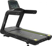 CardioPower Pro CT350 фото