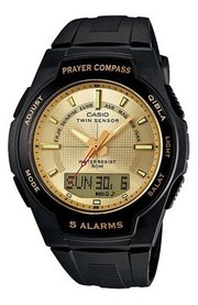 Casio CPW-500H-9A фото