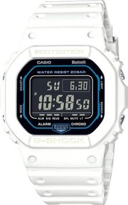 Casio DW-B5600SF-7E фото