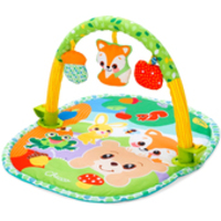 Chicco Activity 3-в-1 00010471000000