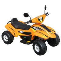 Chien ti Beach Racer CT-558