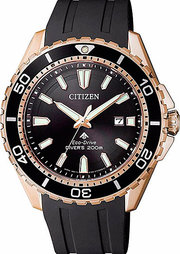 Citizen BN0193-17E фото