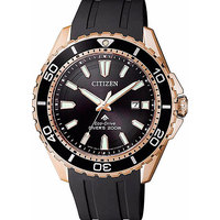 Citizen BN0193-17E