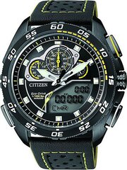 Citizen JW0125-00E фото