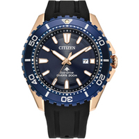 Citizen Promaster BN0196-01L