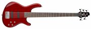 Cort Action Bass V Plus фото