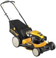 Cub Cadet LM1 DP53 фото