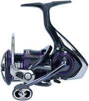 Daiwa 21 Prorex V LT 2000 фото