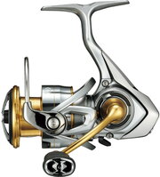 Daiwa Freams 21 FC LT 1000S фото