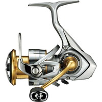 Daiwa Freams 21 FC LT 1000S