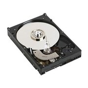 Dell 341-6999 250GB фото