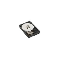 Dell 341-7394 250GB