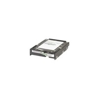 Dell 400-18496 1TB