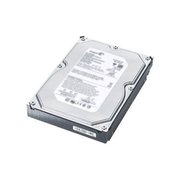 Dell 400-24987 250GB фото