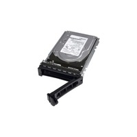 Dell 400-25169 3TB