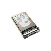 Dell 400-AEEK 300GB