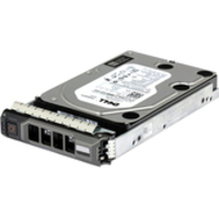 Dell 400-ANVE 10TB