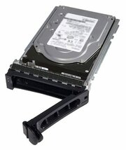 DELL 480 GB 480Gb SAS для 14G фото