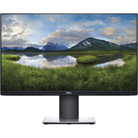 Dell P2419H