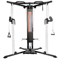 Dfc Powergym D956