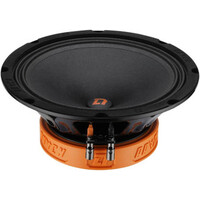 Dl audio Raven 200