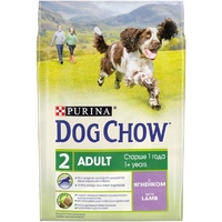 Dog chow Adult Dog Lamb