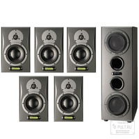 Dynaudio Air 12 Master D6