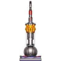 Dyson Small Ball Multifloor