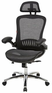 EasyChair 552 TTW фото