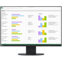 Eizo FlexScan EV2455