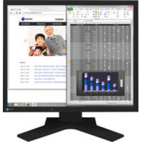 Eizo FlexScan S1934H