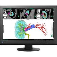 Eizo MX242W