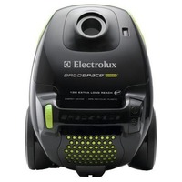 Electrolux Ergospace Green ZEG301