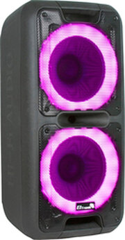 Eltronic 20-14 Dance Box 300 фото