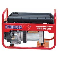 Endress ESE 60 DBS