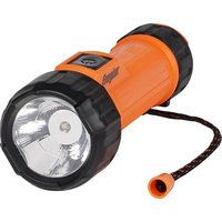 Energizer Atex 2D LED Handheld