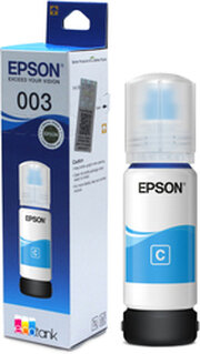 Epson C13T00V298 фото