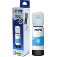 Epson C13T00V298