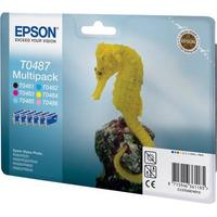 Epson C13T04874010