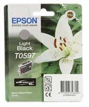 Epson C13T05974010 фото