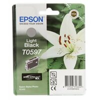 Epson C13T05974010