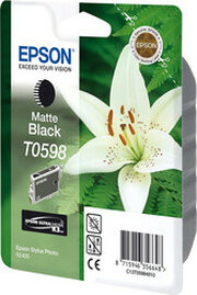 Epson C13T05984010 фото