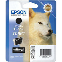 Epson C13T09614010