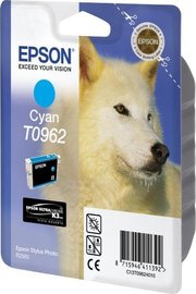 Epson C13T09624010 фото