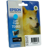 Epson C13T09654010