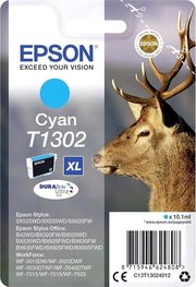 Epson C13T13024012 фото