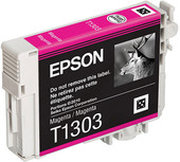 Epson C13T13034010 фото