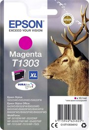 Epson C13T13034012 фото