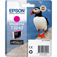 Epson C13T32434010