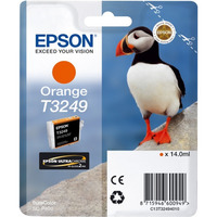 Epson C13T32494010